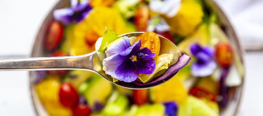 Tipos de flores comestibles – Trofología