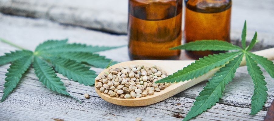 Mitos y realidades sobre el consumo de cannabis – Trofología
